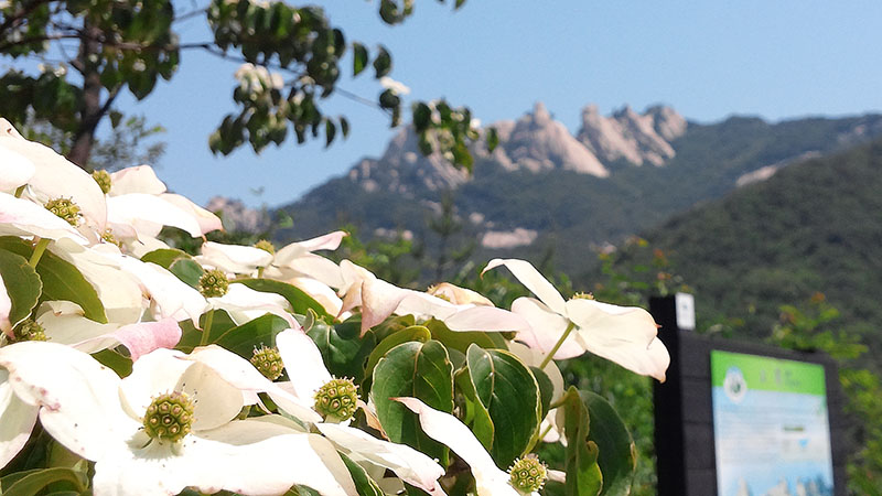 북한산둘레길 우이령길 오봉