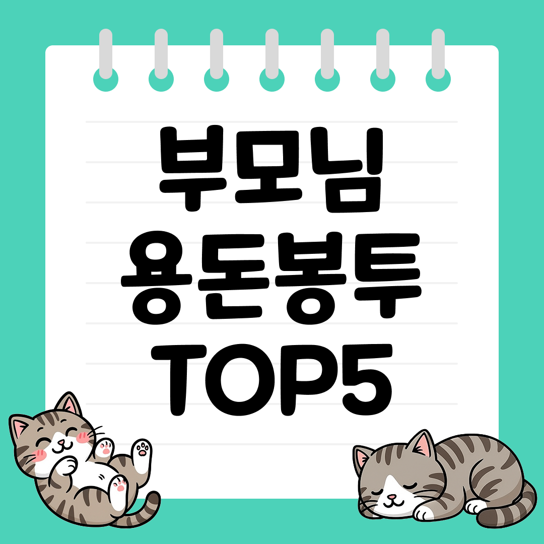 감사한 마음을 전하는 부모님 용돈봉투 추천 순위 TOP5