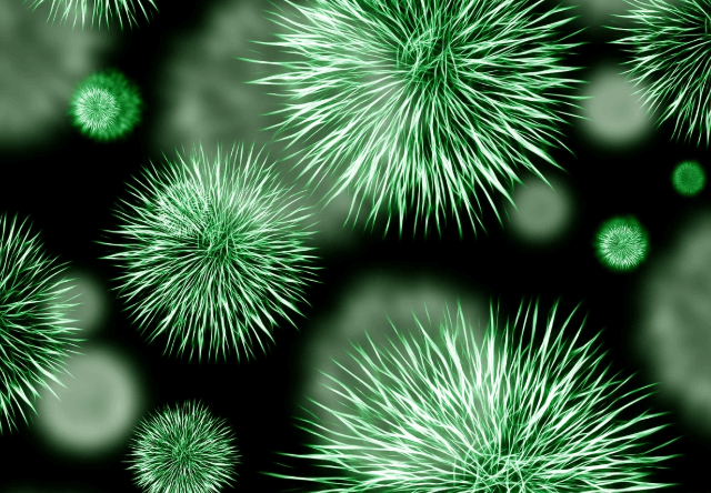 국민건강보험 환급금