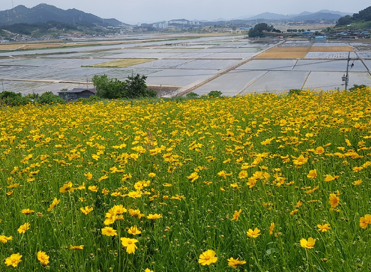 숲쟁이 꽃동산