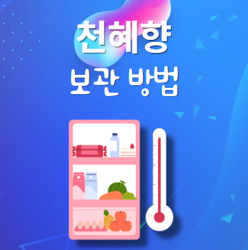 천혜향 보관법