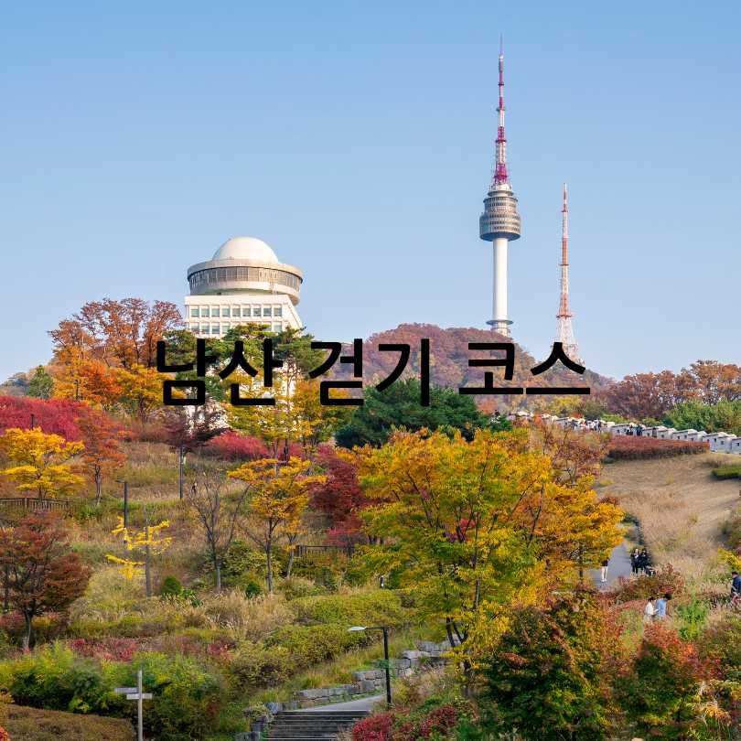 손목닥터9988 남산 걷기 챌린지