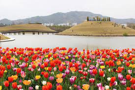  국내 가을 여행 - 순천만국제정원박람회