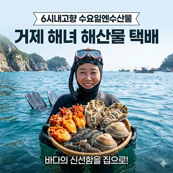 6시내고향 수요일엔수산물 거제 해녀 해산물