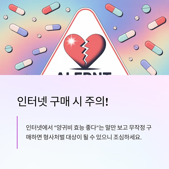 양귀비 효능과 부작용&amp;#44; 섭취 전 꼭 알아야 할 5가지 요약 이미지