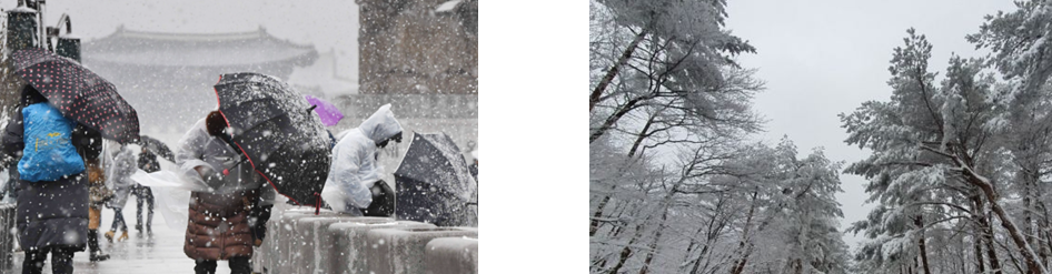 겨울 한파 시즌 이미지