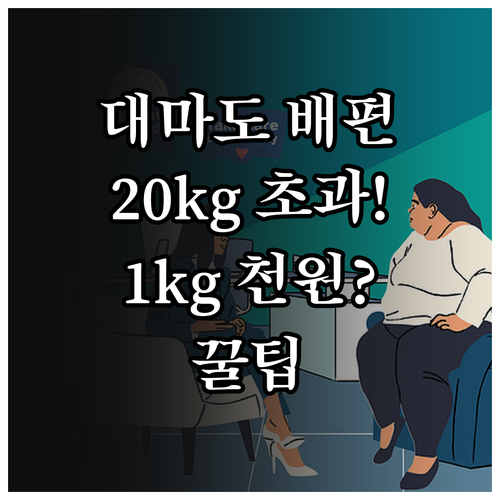 대마도 배편 위탁 수하물 20kg 초..