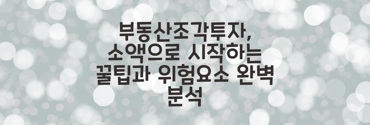 부동산조각투자