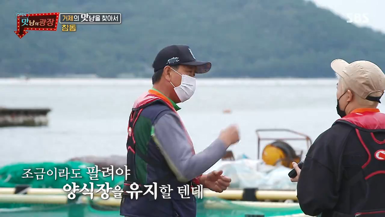 맛남의광장 백종원 참돔 숙성회 만드는 법