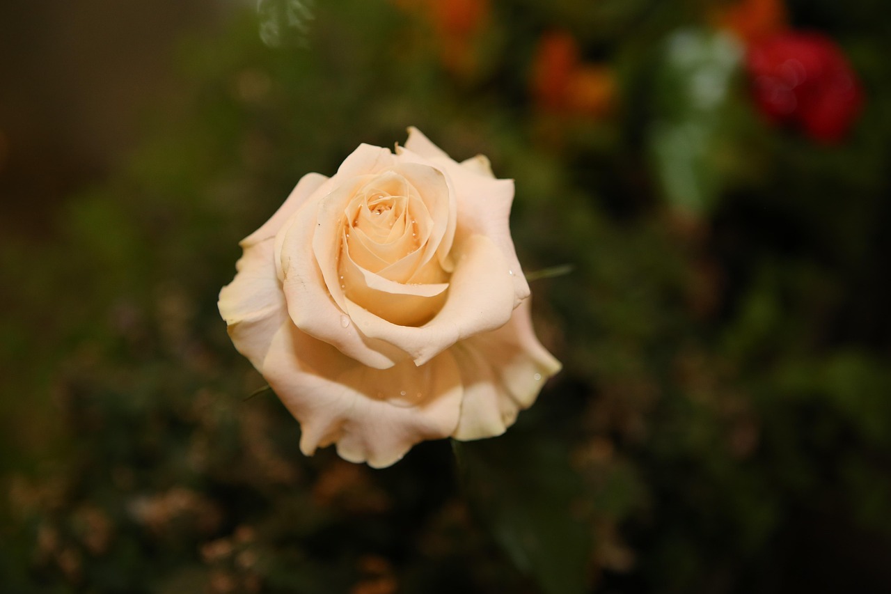 근로장려금 수령액 조회 및 계산법