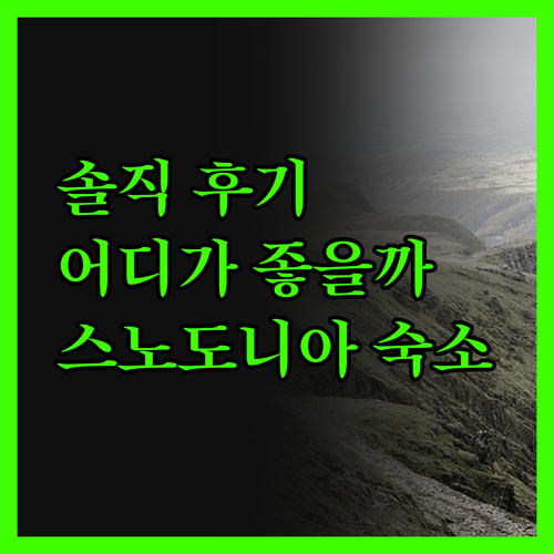 스노도니아 숙소 솔직 후기! 로열 빅