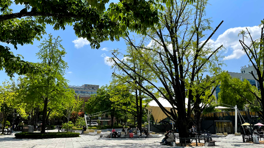 대학로 마로니에 공원2