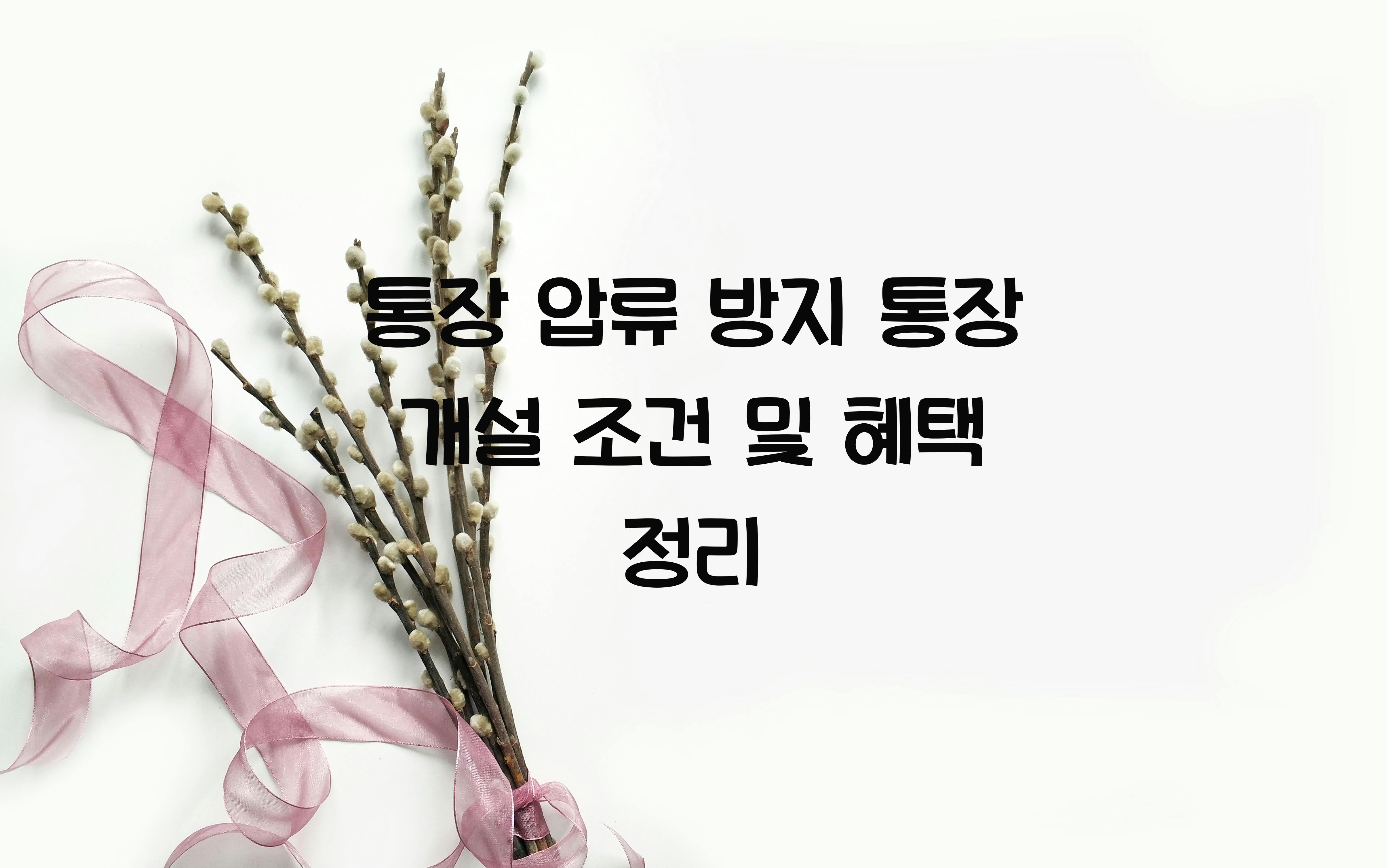 통장 압류 방지 통장 개설