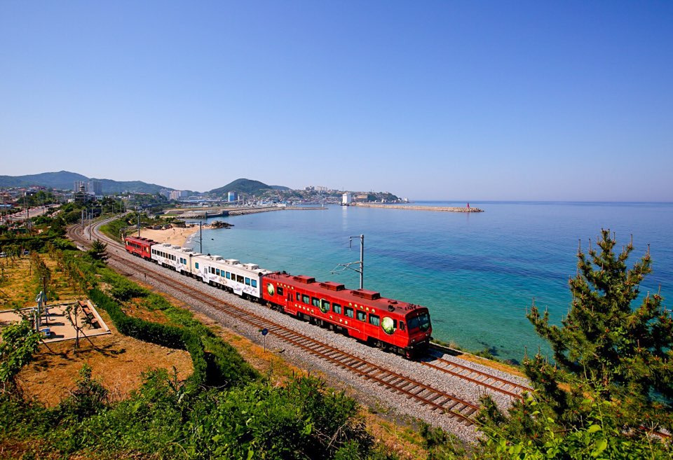 강릉바다열차 사진입니다.
