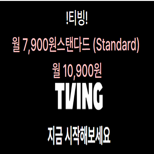 스탠다드 요금제