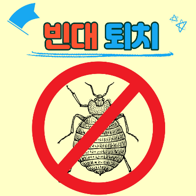 빈대 퇴치 썸네일