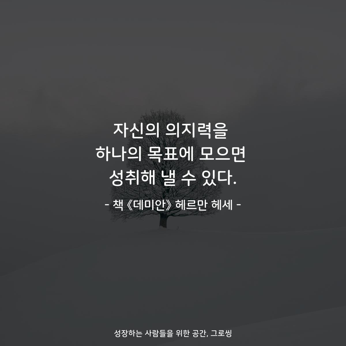 자신의 의지력을
하나의 목표에 모으면
성취해 낼 수 있다.