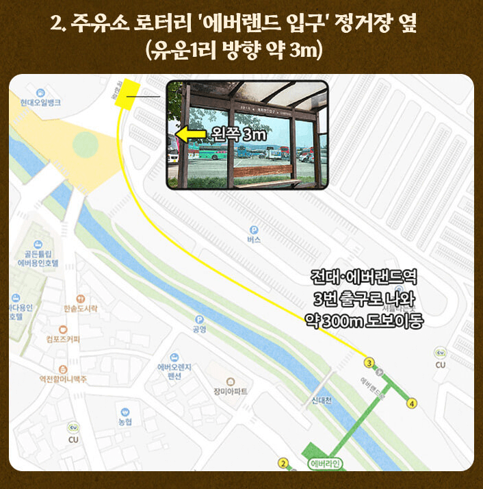 에버랜드 은행나무 숲