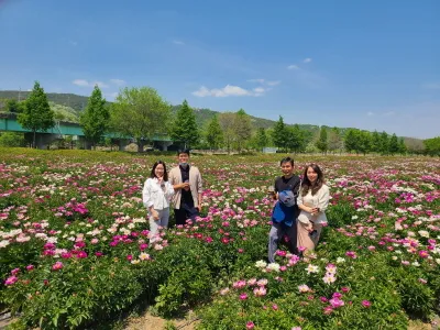 핫들생태공원 합천 산청 진달래축제_4
