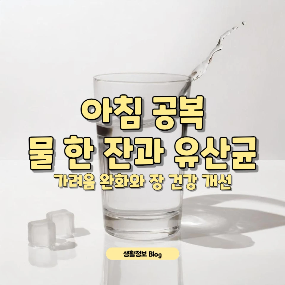 아침 공복에 물 한 잔과 유산균