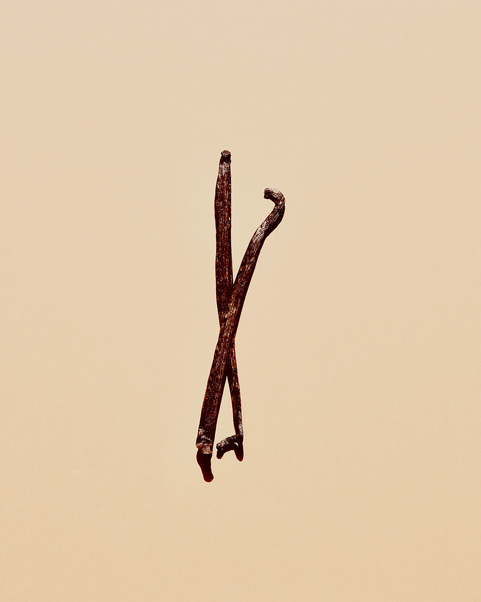 vanilla bean&#44; 바닐라빈