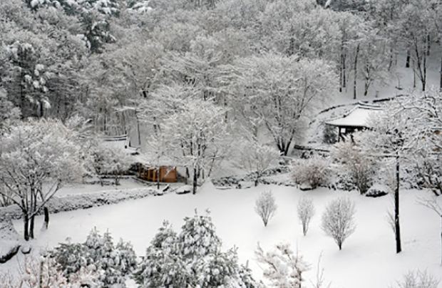 나만 알고 싶은 겨울 산책로, 하동 섬진강변의 평온한 휴식