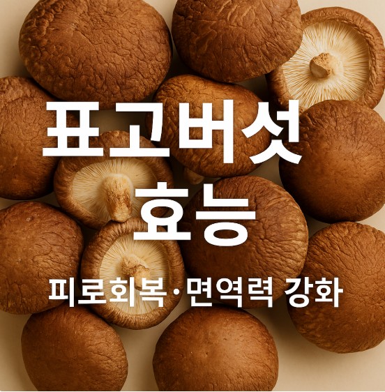 표고버섯효능