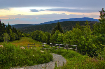 위수지역이 사용되는 예문과 그 해설