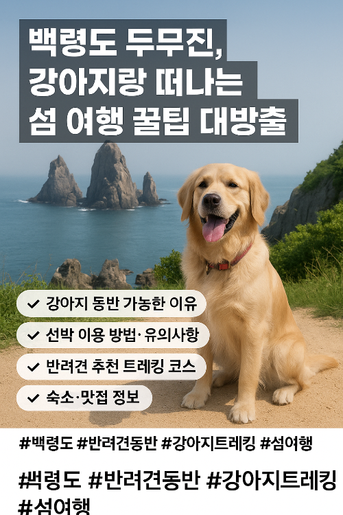백령도 두무진, 강아지랑 떠나는 섬 여행 꿀팁 대방출!