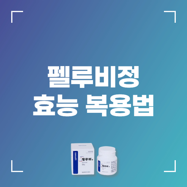 펠루비정 30mg 부작용