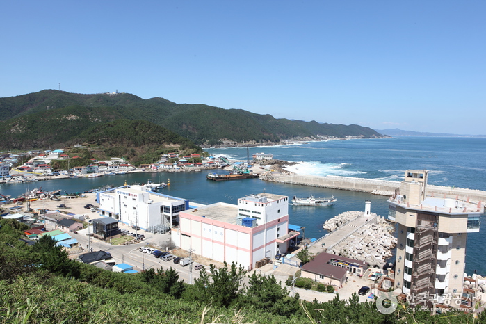 영덕 가볼만한곳 베스트10