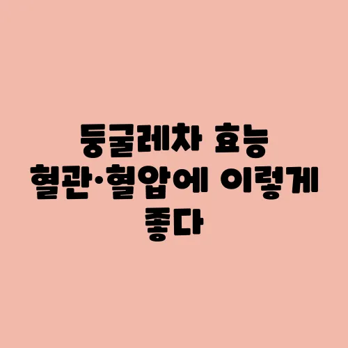 둥굴레차 효능 혈관·혈압에 이렇게 좋다