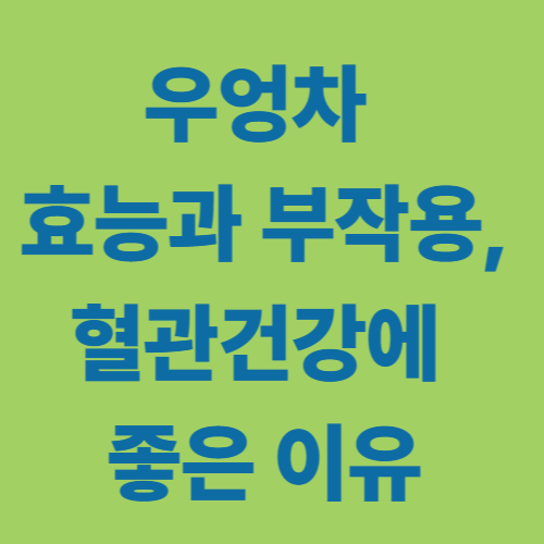 우엉차 효능과 부작용, 혈관건강에 좋은 이유 이미지