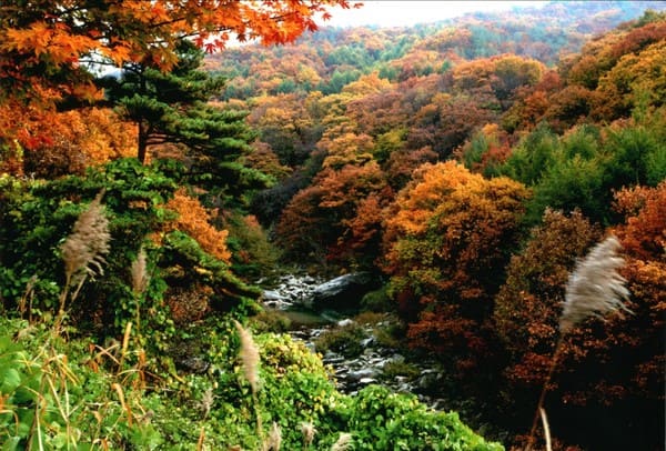 소백산 가을