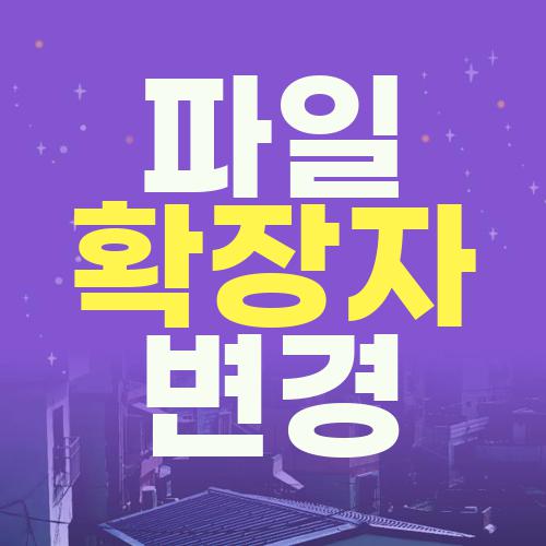 파일 확장자 변경