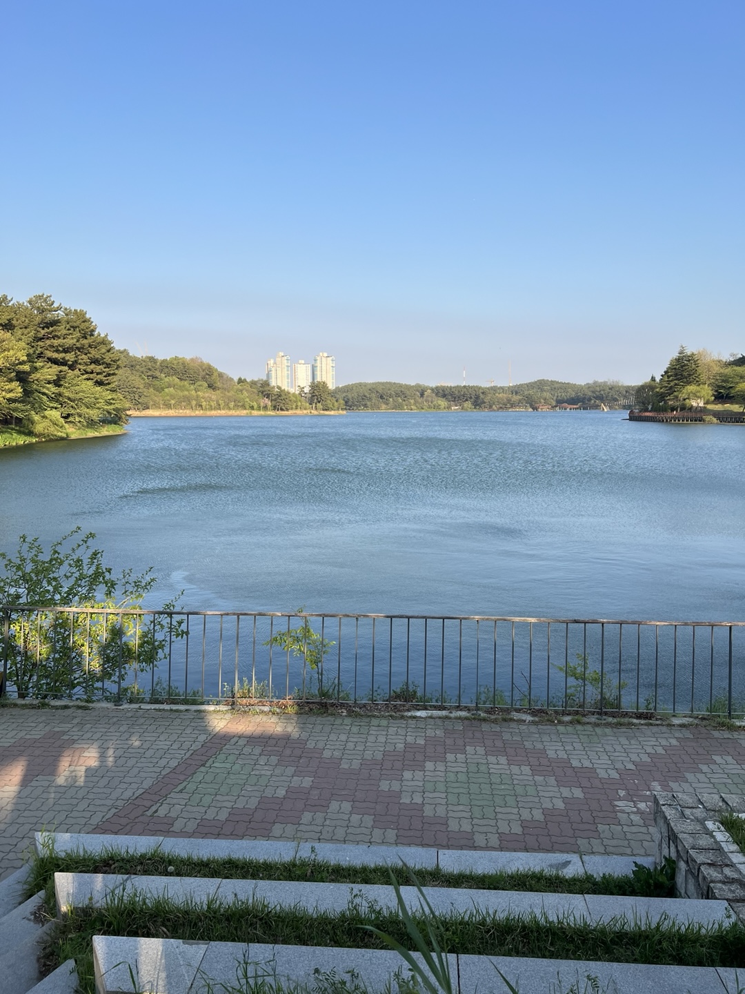 바람이 많이 불어 출렁이는 은파호수