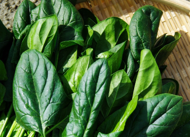 시금치무침 레시피