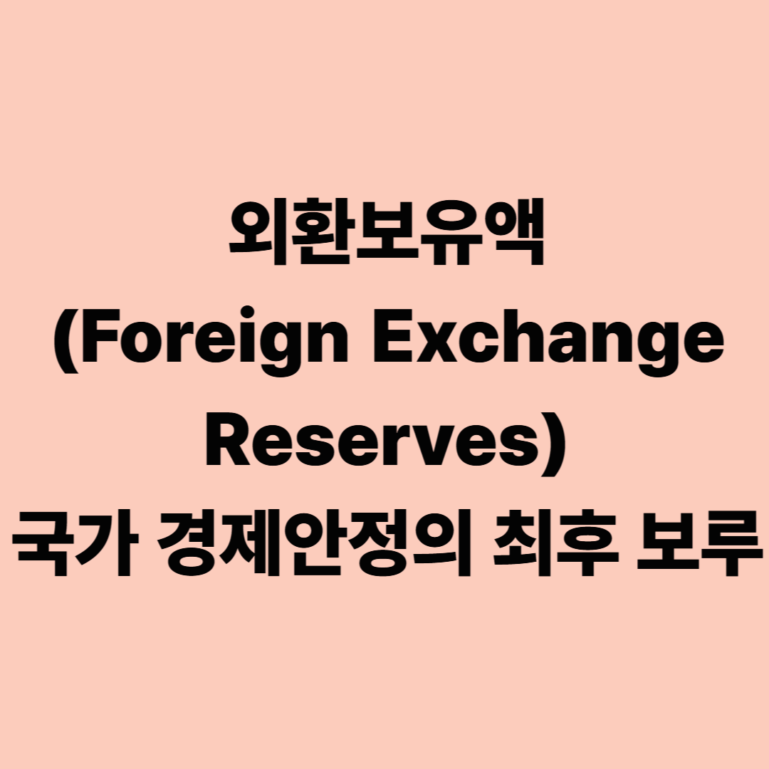 외환보유액(Foreign Exchange Reserves): 국가 경제안정의 최후 보루