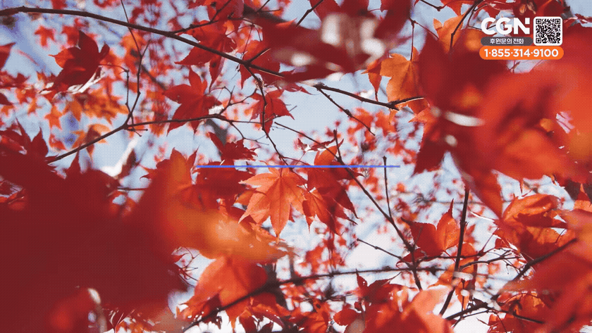 Courage from the Message