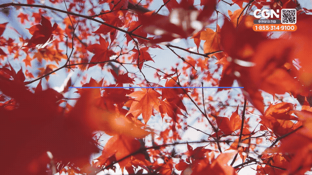 A Chosen Foolishness