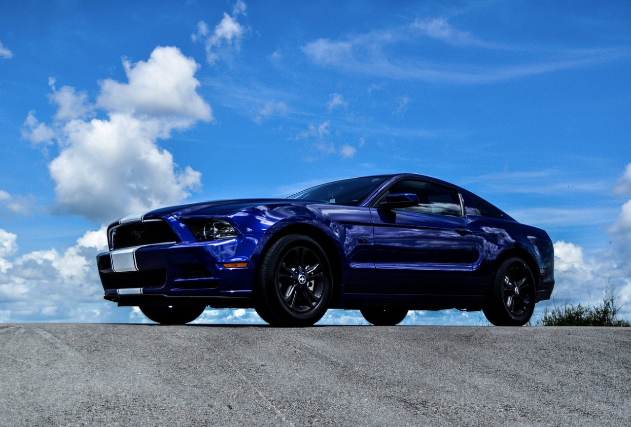 국내 자동차 시장 경쟁 심화