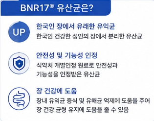 양배추백김치이미지