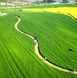 전북 고창 감성 드라이브 관련 사진