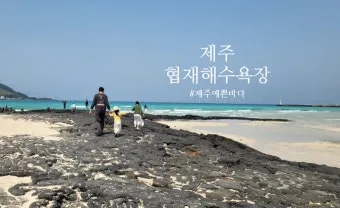 제주 협재 맛집 추천 카페와 브런치 맛집 포함_5