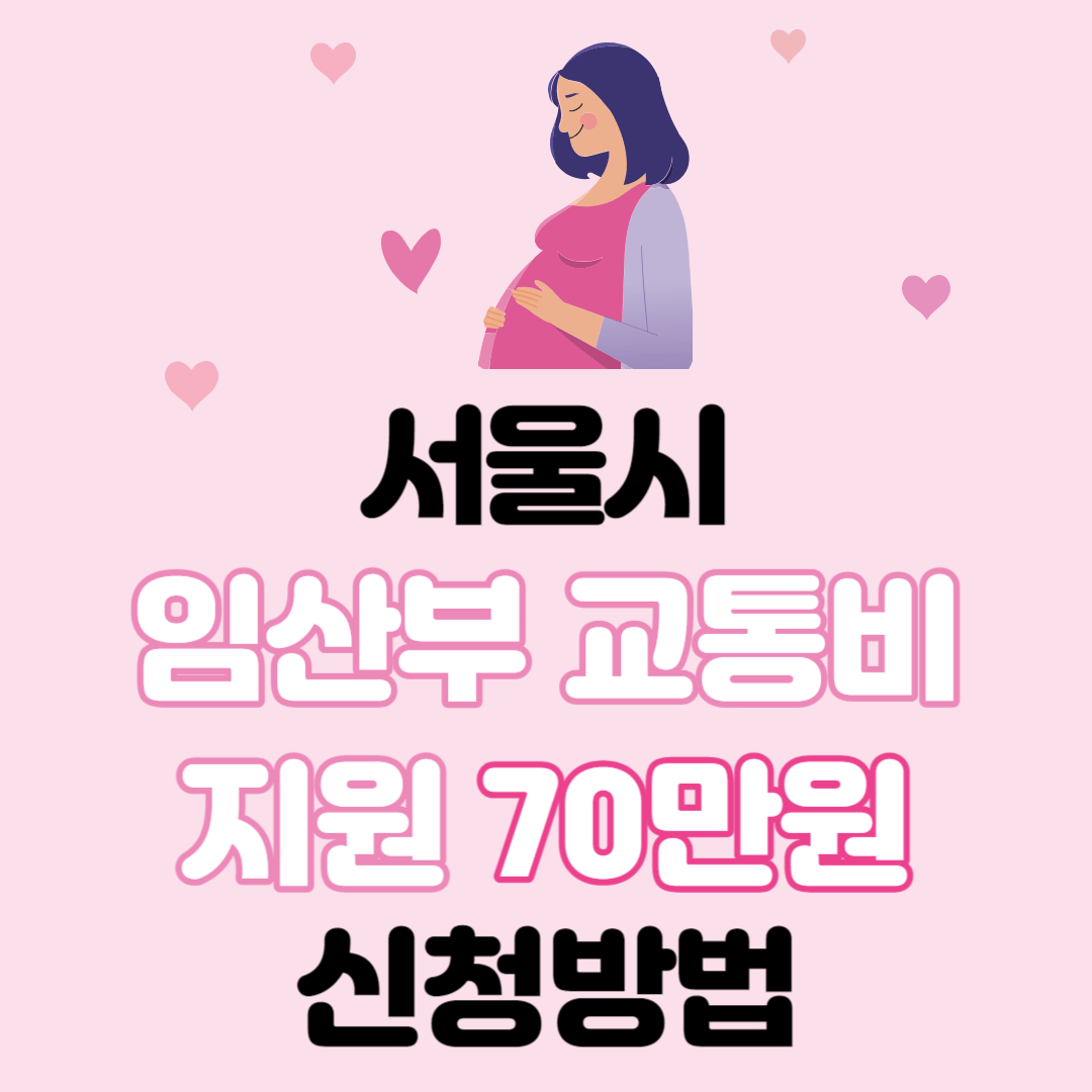서울시 임산부 교통비 지원 70만원 신청방법