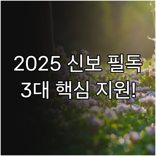일반 보증과 차별화된 2025 신보 ..