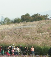 전국 수목원 BEST 5 – 자연의 품으로 떠나는 진짜 힐링 여행