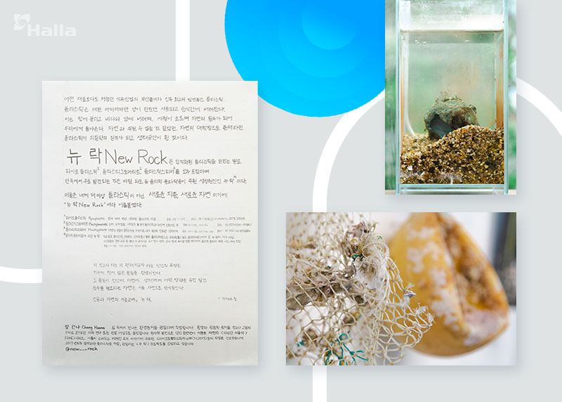 장한나 작가 전시에서 만난 손글씨로 작성된 작품 설명과 뉴락 표본들