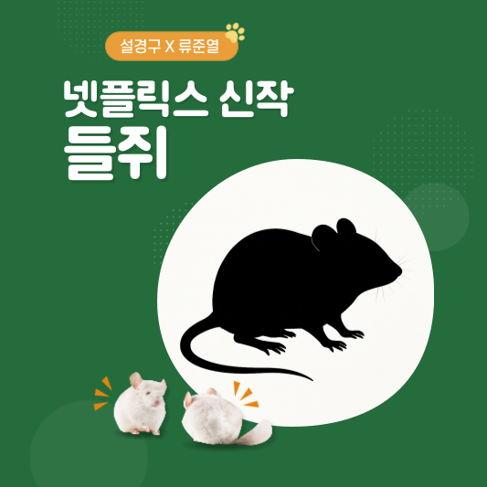 넷플릭스 들쥐
