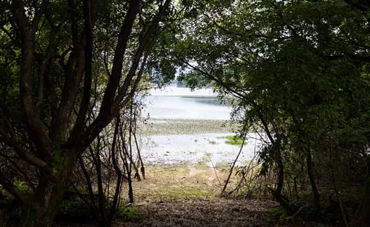 광주호호수생태원